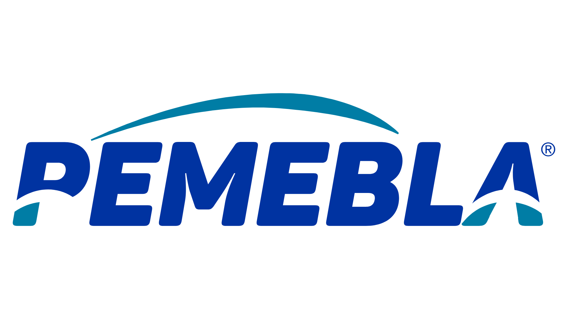 PEMEBLA (1)